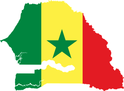 Germany Trade & Invest zu den Parlamentswahlen im Senegal